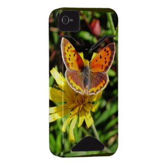 American Copper Butterfly ~ iPhone 4 CaseMate ID casematecase