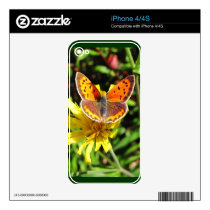 American Copper butterfly ~ iPhone 4 Skin