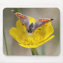 American Copper Butterfly Mousepad
