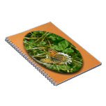 American Copper Butterfly Spiral Notebooks