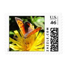 American Copper butterfly ~ stamp