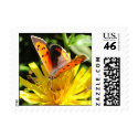 American Copper butterfly ~ stamp