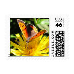American Copper butterfly ~ stamp