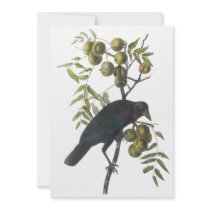 American Crow, John James Audubon Custom Announcements