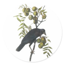 American Crow, John James Audubon Round Stickers