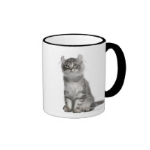 American Curl Kitten (3 months old) Mug