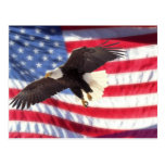 American Eagle and Flag Postcard