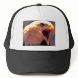 American Eagle - Bald Eagle Mesh Hats