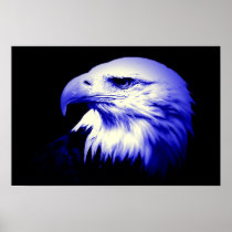 American Eagle Bald Eagle Poster Print