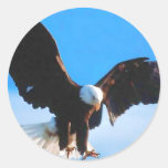 American Eagle calvo Pegatinas Redondas