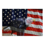 American Eagle Flag Print American Eagle Flag Print