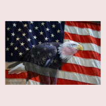 American Eagle Flag Print