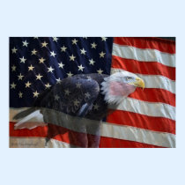 American Eagle Flag Print posters