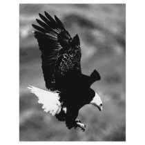 American Eagle Full Color Flyer
