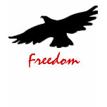 AMERICAN EAGLE FREEDOM T SHIRT