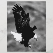 American Eagle Full Color Flyer