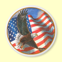 American Eagle in Flight magnets