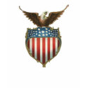 American eagle on top of shield t-shirt by design_girl American eagle on top of shield t-shirt