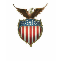 American eagle on top of shield t-shirt