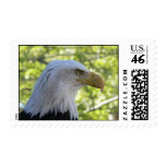 American Eagle Postage