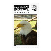 American Eagle postage by shielarb American Eagle postage