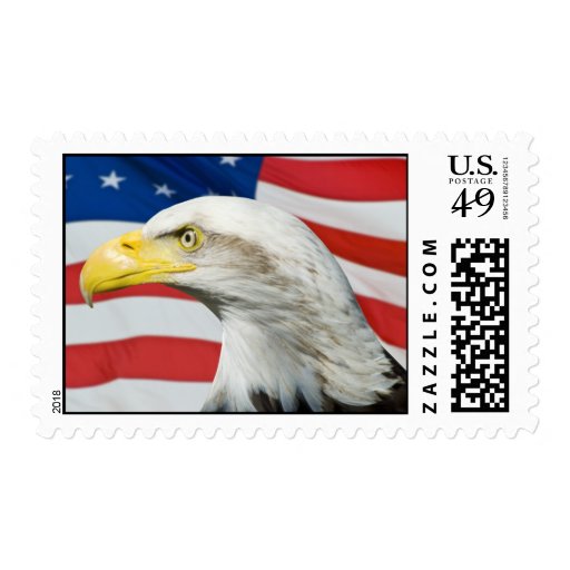 American Eagle Postage Stamp Zazzle