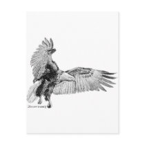 American Eagle postcards