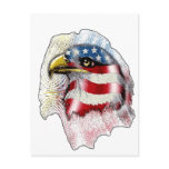 American Eagle Postcard