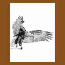 American Eagle postcards