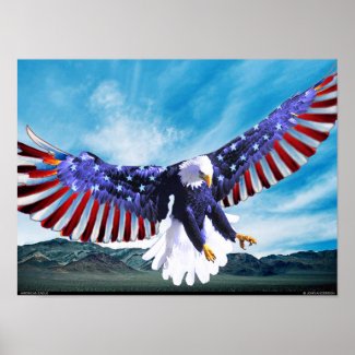 American Eagle print