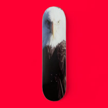 American Eagle skateboards
