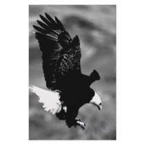 American Eagle stationery by made_in_atlantis American Eagle stationery