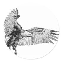 American Eagle stickers