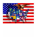 American Eagle US flag USA states