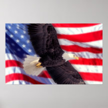 American Eagle with American Flag Print