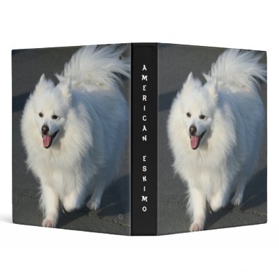 American Eskimo binder by ritmoboxer