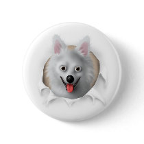 American Eskimo Busting Out buttons by cartoondogs American Eskimo Busting Out buttons