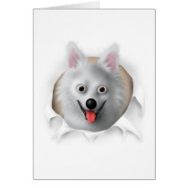 American Eskimo Busting Out cards by cartoondogs American Eskimo Busting Out cards