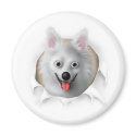 American Eskimo Busting Out magnets by cartoondogs American Eskimo Busting Out magnets