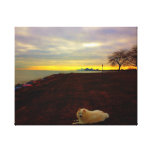 American Eskimo Chicago sunrise Stretched Canvas Print
