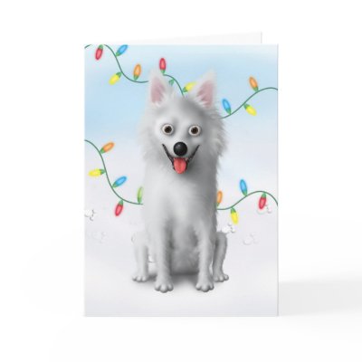 American Eskimo Christmas Greeting Cards by cartoondogs