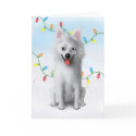 American Eskimo Christmas cards by cartoondogs American Eskimo Christmas cards