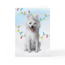 American Eskimo Christmas cards