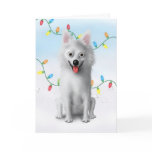 American Eskimo Christmas cards