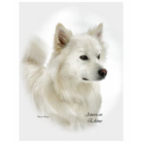American Eskimo Dog Art Apparel t-shirts by DogsByDezign American Eskimo Dog Art Apparel t-shirts