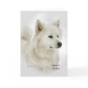 American Eskimo Dog Art Gifts card