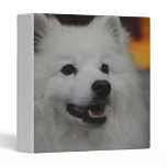 American Eskimo Dog  Binder binders