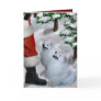 American Eskimo Dog Christmas Cards