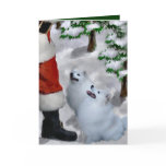 American Eskimo Dog Christmas