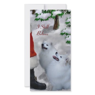 American Eskimo Dog Christmas Gifts Custom Photo Card by DogsByDezign
